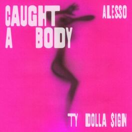 Album cover of Caught A Body