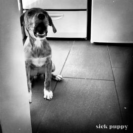 Album cover of Sick Puppy