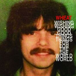 Album cover of Wishing Good Things for the World
