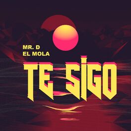 Album cover of Te Sigo