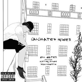 Album cover of Calculated Moves (feat. Acetone Boogie & Sean Kingston)