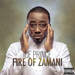 Album cover of Fire of Zamani