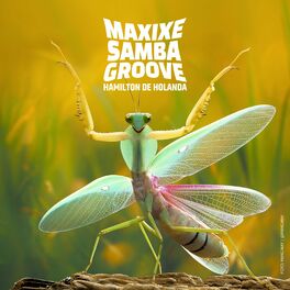 Album cover of Maxixe Samba Groove