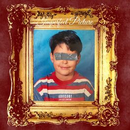 Album cover of Imperfect Picture