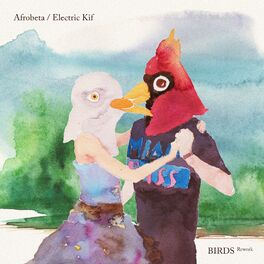 Album cover of The Birds (Afrobeta Rework)