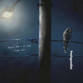 Album cover of Night Owl