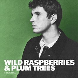 Album cover of Wild Raspberries & Plum Trees