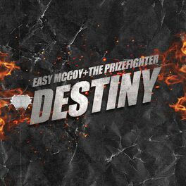 Album cover of DESTINY