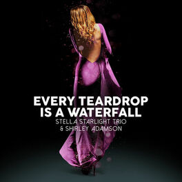 Album cover of Every Teardrop is a Waterfall