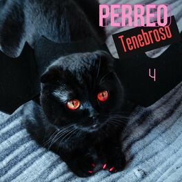 Album cover of Perreo Tenebroso Vol. 4