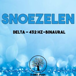 Album cover of Snoezelen Deltawaves 432hz