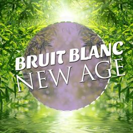 Album cover of Bruit Blanc New Age: Sons de la Nature (Pluie, Océan, Mer, le Vent et les Grillons) pour la Sérénité, Tranquillité Zen et pour la 