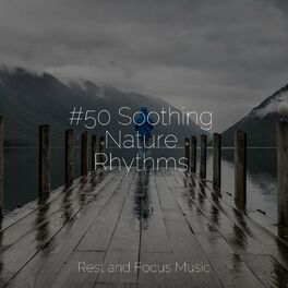 Album cover of #50 Soothing Nature Rhythms