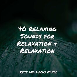 Album cover of 40 Relaxing Sounds for Relaxation & Relaxation