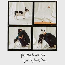Album cover of Your Dog Loves You
