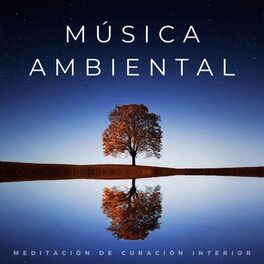 Album cover of Música Ambiental: Meditación De Curación Interior