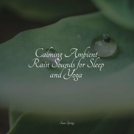 Album cover of Calming Ambient Rain Sounds for Sleep and Yoga