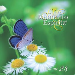 Album cover of Momento Espírita, Vol. 28