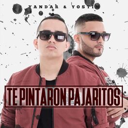 Album cover of Te Pintaron Pajaritos