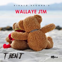 Album cover of Wallaye JTM