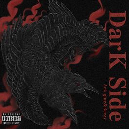 Album cover of DarK Side
