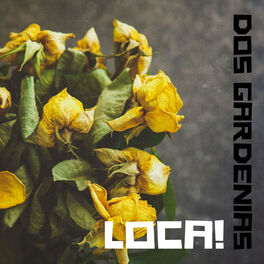 LOCA! - Dos Gardenias: letras de canciones | Deezer