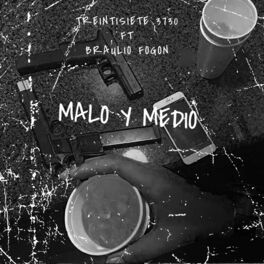 Album cover of Malo Y Medio (feat. Braulio Fogon)