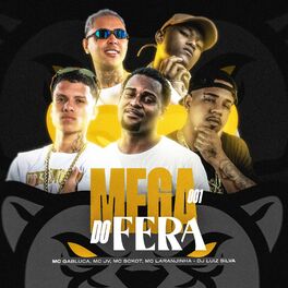 Album cover of Mega do Fera 001