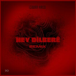 Album cover of Hey Dilberê (Remix)