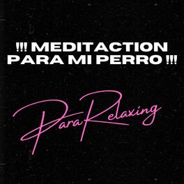Album cover of !!! Meditaction para mi perro !!!