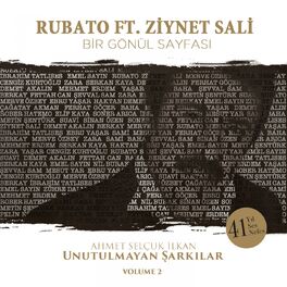 Album cover of Bir Gönül Sayfası (Ahmet Selçuk İlkan Unutulmayan Şarkılar, Vol. 2)