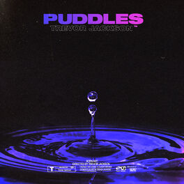 Album cover of Puddles