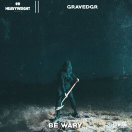 Album cover of BE WARY