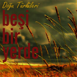 Album cover of Doğu Türküleri