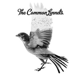 Album cover of The Common Linnets