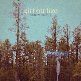 Album cover of Girl On Fire