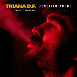 Album cover of Triana D.F. - Distrito Flamenco
