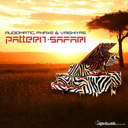 Album cover of Pattern Safari - Single