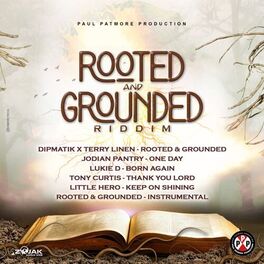 Album cover of Rooted and Grounded Riddim