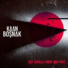 Album picture of İçi Dolu Her Şeyim