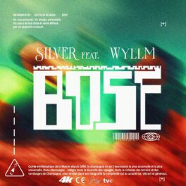 Album cover of BOSE (feat. SLVR & WYLLM)
