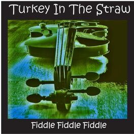 Album cover of Turkey in the Straw and Other Country Fiddle Hits