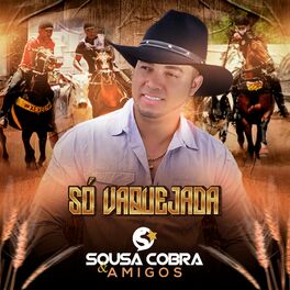 Album cover of Só Vaquejada