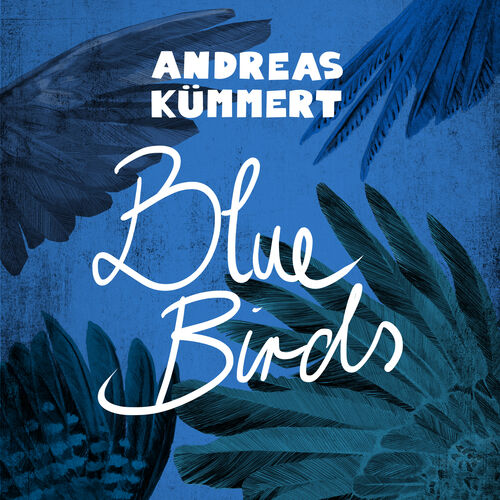 Andreas Kummert Blue Birds Lyrics And Songs Deezer Aber gewoehnlich ist das nicht was andreas hier abliefert. deezer