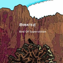 Album cover of Bird Of Superstition