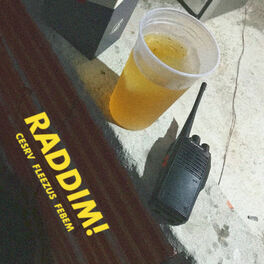 Album cover of RADDIM