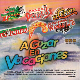 Album cover of A Gozar en Vacaciones