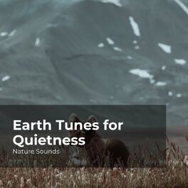 Album cover of Earth Tunes for Quietness