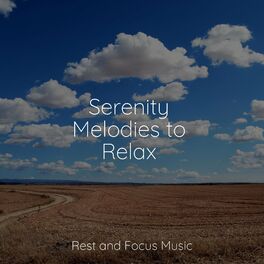 Album cover of Serenity Melodies to Relax