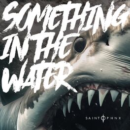 Album cover of Something in the Water